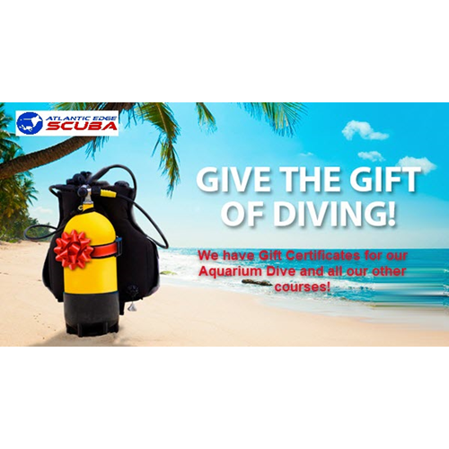 Training Dive Gift Certificate